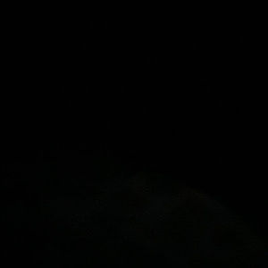 Meet your Posher, Tyson